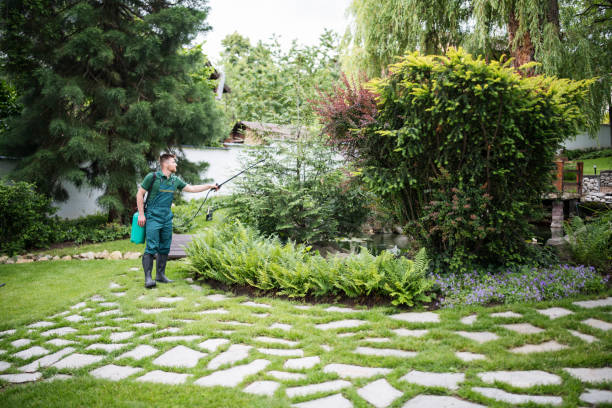 Best Affordable Pest Control Services  in Antioch, CA
