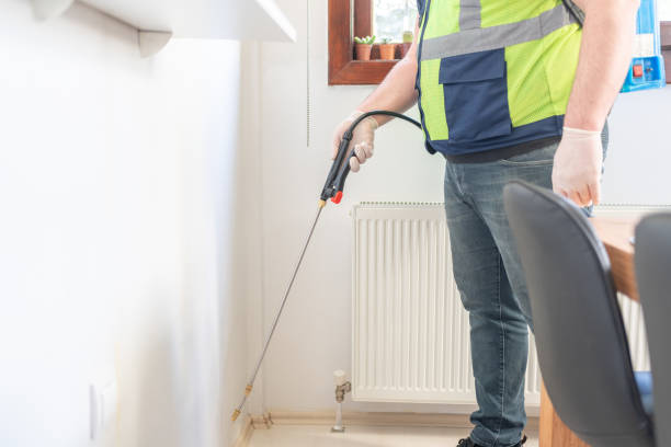 Best Rat Extermination Near Me  in Antioch, CA