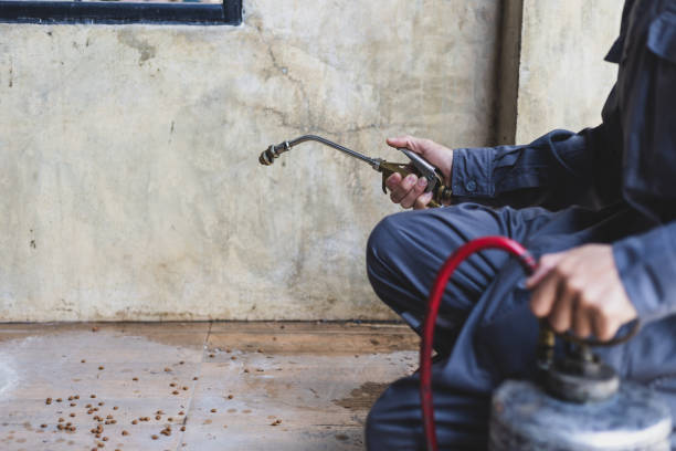 Pest Prevention Services in Antioch, CA